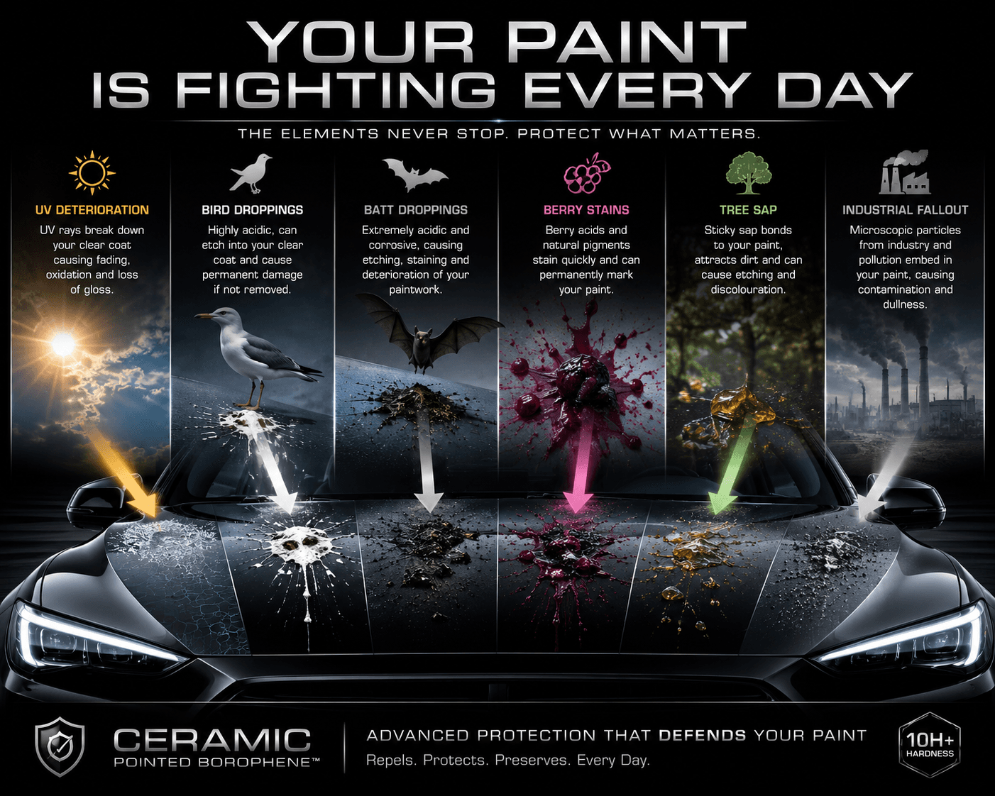 Vehicle paint contaminants including fallout, sap, water spots and environmental pollution