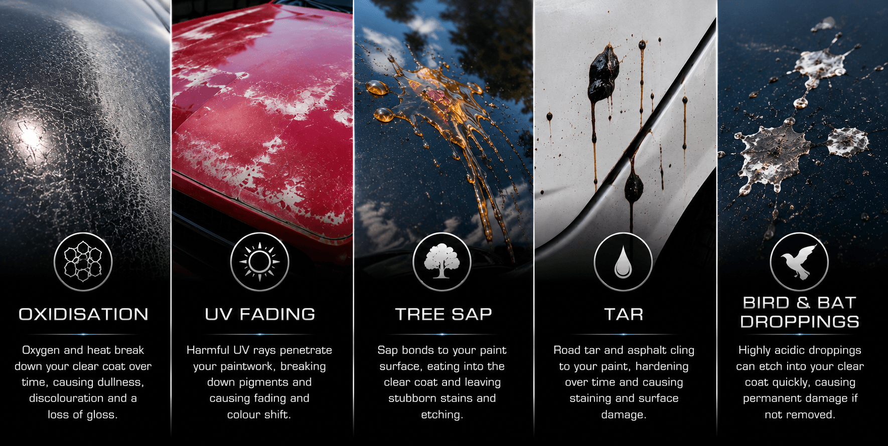Before and after comparison showing automotive paint affected by UV fading and oxidation