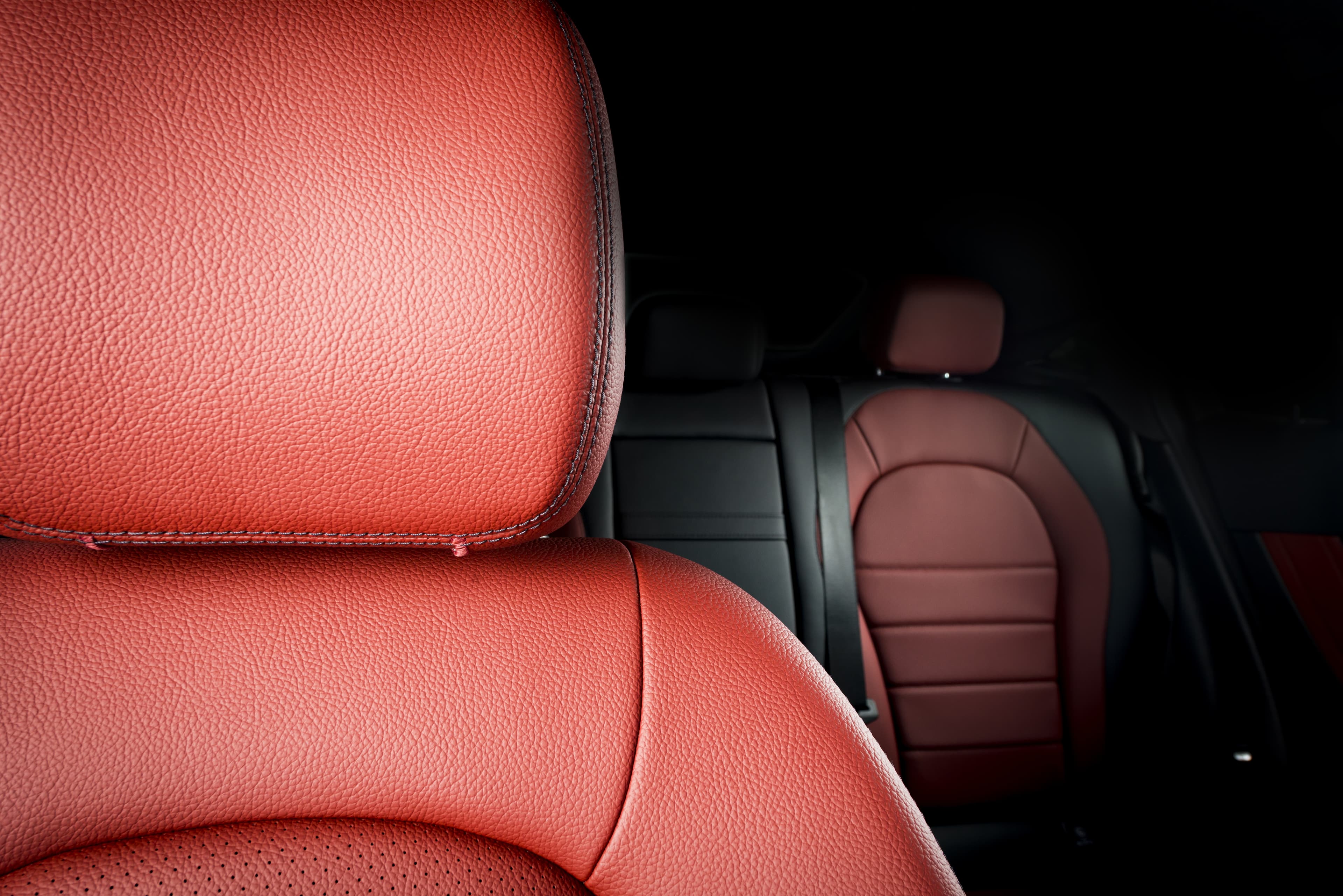 Protected vehicle interior showing leather, vinyl and fabric surface protection